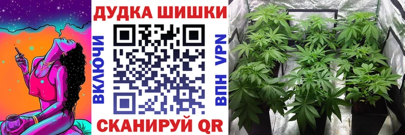 Бошки марихуана индика  что такое   Вязники 